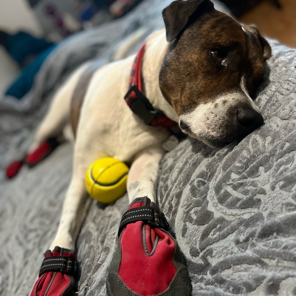 Meet your Posher, Gabi - Picture 8 of 10